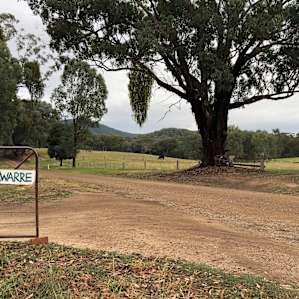 Nillawarre Woodland Camp- unpowered