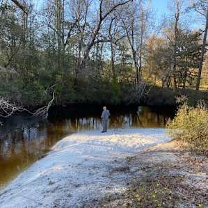 Edge of creek side