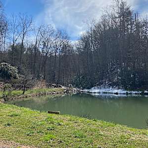 Pond Springs
