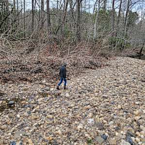 Fancy Hill-Site 10, Primitive Creek