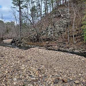 Fancy Hill-Site 10, Primitive Creek