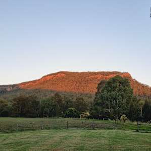 Wynola Country Cousin PlatypusReach