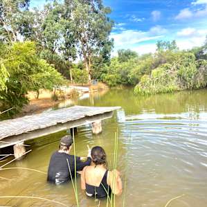 Brushwood Brook Camp