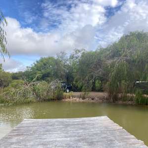 Brushwood Brook Camp