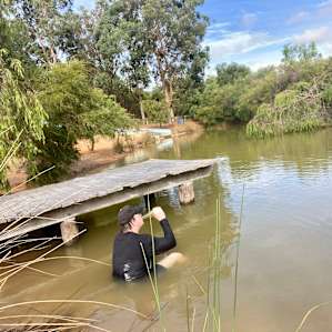 Brushwood Brook Camp