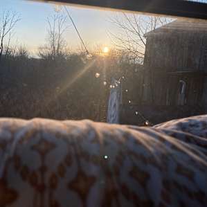 Cozy Love Bus on 285 acres w trails