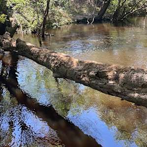 Sandy Bottom River Retreat