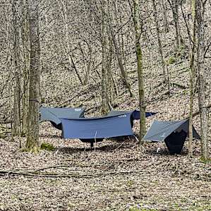 Great set up for hammocks.