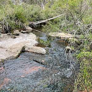 Jindalee River Camp Site 1