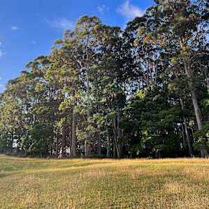Semaphore Farm Tent Sites