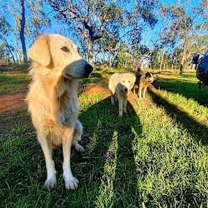 Farm Stay Water Hole Camping