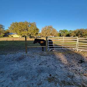 Serene farm stay on Bell Oaks Ranch