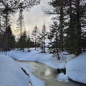 Montreal River behind cabin