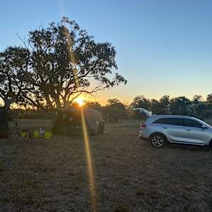 Adelaide Hills Working Cattle Farm
