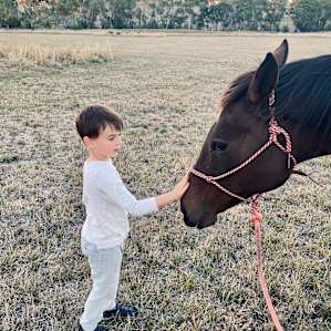 Adelaide Hills Working Cattle Farm