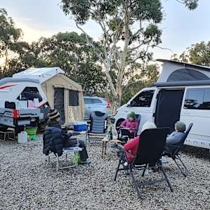Pine Gums via Goulburn