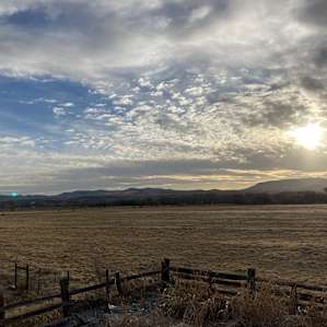 West view late afternoon.