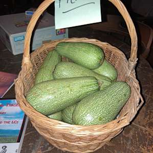 We were gifted all the zucchini we could use.