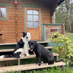 Close-in quaint cabin!