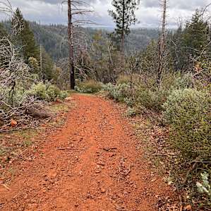 160 Acres amidst National Forest