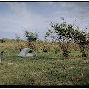 Peaceful Bamboo Farm Camping