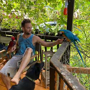 Cosmo and Red are beautiful birds!