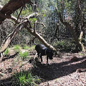 CampFire Riverbend Tent Sites