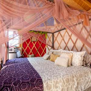 Exotic Glamping-Yurt Style!!!