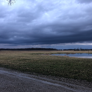 Songdog Meadows