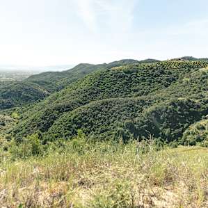 Zephyr Hill Top View Group Site