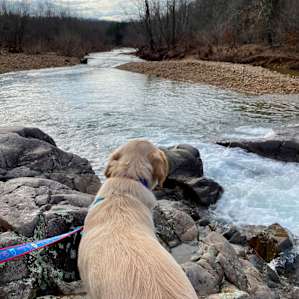 #4- River Access at Fredrock