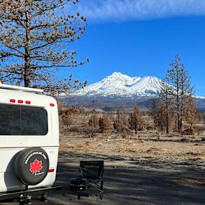 Shasta Juniper High Desert