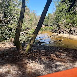 The view from site 1 in the hammock is unbeatable.