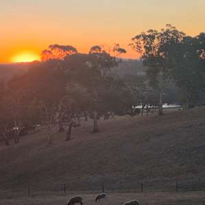 The Landing at Hay Valley Farm