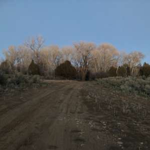 Tranquility @ The Farm