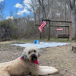 Your Tallapoosa River Hideaway!