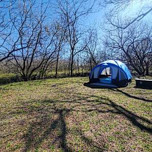 Sleep Under the Pecan Trees