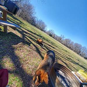 Sleep Under the Pecan Trees