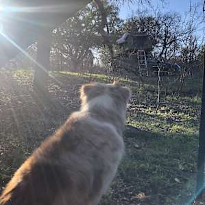 It's a Wendelful Life Ranch
