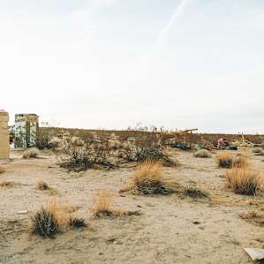Shabby shanty