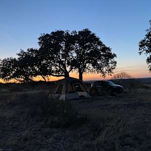 Phrog and Munkey Camping
