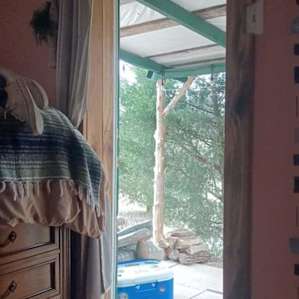 Little Fern Guest Cabin