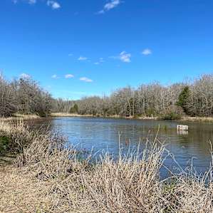 Sandy Ridge Camping