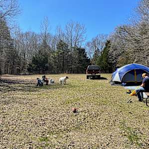 Site 2