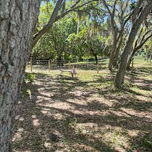 Serene farm stay on Bell Oaks Ranch