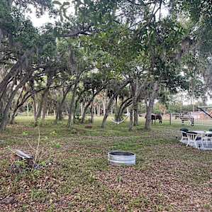 Serene farm stay on Bell Oaks Ranch