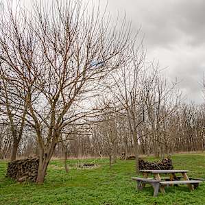 Every site has a table, fire pit and the wood to go with it!