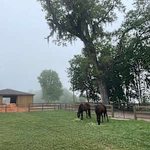 Tudor Farm Serenity Awaits You!