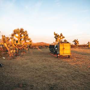 40 Acres of Desert Tranquility
