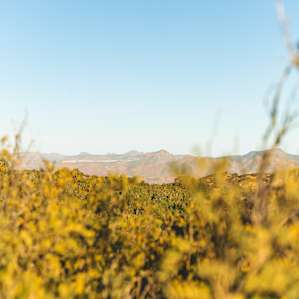 Photo of Peaceful primitive camping - Peaceful primitive camping (25)